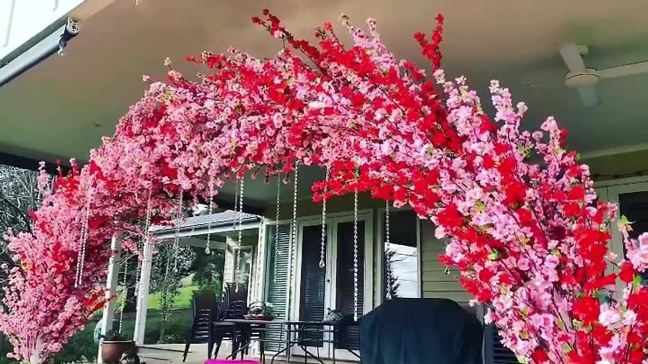 Cherry Blossom Backdrop